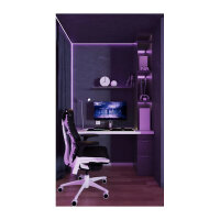JapanNext FHD Gaming Monitor 62,23cm (24,5")