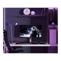 JapanNext FHD Gaming Monitor 62,23cm (24,5")