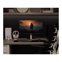 JapanNext FHD Gaming Monitor 62,23cm (24,5")