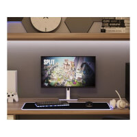 JapanNext FHD Gaming Monitor 62,23cm (24,5")