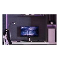 JapanNext FHD Gaming Monitor 62,23cm (24,5")