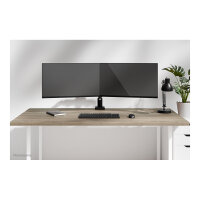 Neomounts NERO DS60-600BL2 Monitorarm - schwarz