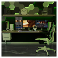 JapanNext WQHD Gaming Monitor 68,58cm (27")