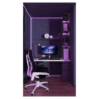 JapanNext WQHD Gaming Monitor 68,58cm (27")