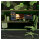 JapanNext WQHD Gaming Monitor 68,58cm (27")