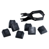 Asus ROG PBT Doubleshot Keycap-Set fr ROG RX Switches...