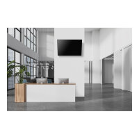Neomounts LEVEL-750 - Befestigungskit - für TV - schwerlast - verriegelbar - Stahl - Schwarz - Bildschirmgröße: 109-191 cm (43 in-75 in)