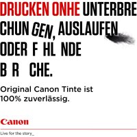 Canon Tinte PG-545/CL-546 8287B005 2er Pack (BK/Color)