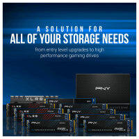 M.2 1TB PNY CS2230 M280CS2230-1TB-RB 0,307 DWPD M.2 2280 PCIe 3.0 x4 (NVMe) SSD 256bit AES