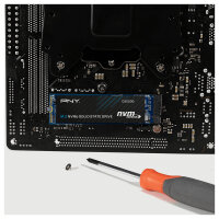 M.2 1TB PNY CS2230 M280CS2230-1TB-RB 0,307 DWPD M.2 2280 PCIe 3.0 x4 (NVMe) SSD 256bit AES