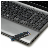 M.2 1TB PNY CS2230 M280CS2230-1TB-RB 0,307 DWPD M.2 2280 PCIe 3.0 x4 (NVMe) SSD 256bit AES
