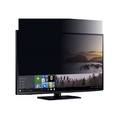 Mobilis Blickschutzfilter für Bildschirme - entfernbar - klebend - 55.9 cm (22)