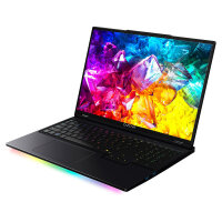 Captiva Notebook Ultimate Gaming R95-062GE 64GB/4TB SSD...