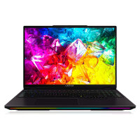 Captiva Notebook Highend Gaming I95-078GE 32GB/2TB...