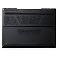 Captiva Notebook Highend Gaming I95-078GE 32GB/2TB RTX5080 Win11
