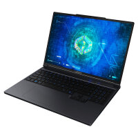 Captiva Notebook Highend Gaming I99-480GE 16" WQXGA...