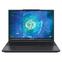 Captiva Notebook Highend Gaming I99-480GE 16" WQXGA...