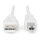 DIGITUS USB Anschlusskabel, Typ A - B St/St 3.0m, be