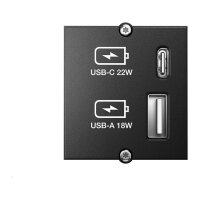 BACHMANN Custom Modul USB Charger Typ A & C 22W,...