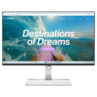 Lenovo L24D-4C Business Monitor - Cloud Grey - 23,8" Full-HD, IPS, 144Hz, 250 Nits, HDMI, USB-C, DP