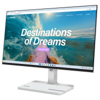 Lenovo L24D-4C Business Monitor - Cloud Grey - 23,8" Full-HD, IPS, 144Hz, 250 Nits, HDMI, USB-C, DP