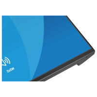 iiyama X2491HS-B1