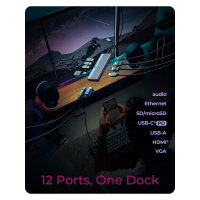 D ICY BOX IB-DK4062-CPD Multi Dockingstation