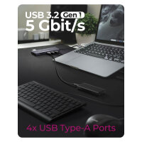 D ICY BOX IB-DK4062-CPD Multi Dockingstation