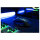 Turtle Beach Kone II Air Gaming-Maus. schwarz