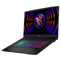 MSI Katana 17 - SSD NVMe - 43.9 cm (17.3")