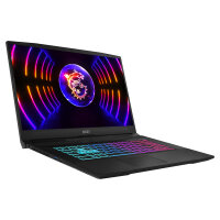 MSI Katana 17 - SSD NVMe - 43.9 cm (17.3")