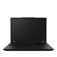 Schenker XMG APEX 16 MAX - M25mxf - 16" QHD 300Hz...
