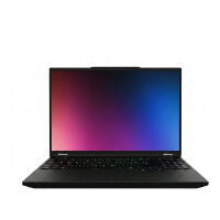 Schenker XMG FUSION 15 - L25xck - 15,3" QHD 300Hz...