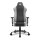 Sharkoon SGS30 Gamingstuhl, Kopfkissen, Lendenkissen, bis max. 130 kg, grey