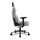 Sharkoon SGS30 Gamingstuhl, Kopfkissen, Lendenkissen, bis max. 130 kg, grey