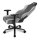 Sharkoon SGS30 Gamingstuhl, Kopfkissen, Lendenkissen, bis max. 130 kg, grey