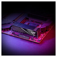 ADATA DIMM 16 GB DDR5-5600 (2x 8 GB) Dual-Kit (schwarz, AX5U5600C468G-DTLABBK, XPG Lancer Blade, INTEL XMP, AMD EXPO)