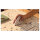 Logitech LIFT ERGONOMIC MOUSE
