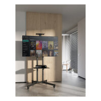 Equip Bodenstandhalter 37"-70"/1TFT 50kg Multifunkt. sw lite Retail