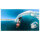 GoPro MAX (2025) 360 Action Camera