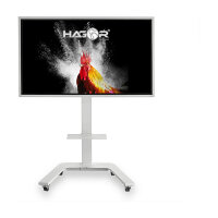 Hagor ST SA Flip II 65" Standfuss für Samsung FLIP (Speditionsversand)