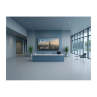 Viewsonic 139,7cm CDE5514-2C 16:9 HDMI/LAN/USB-C 500nits