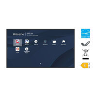 Viewsonic 139,7cm CDE5514-2C 16:9 HDMI/LAN/USB-C 500nits