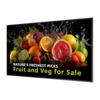 PHILIPS D-Line 86BDL5050D 218,4cm(86") 24/7/UHD/Android14 (Speditionsversand)