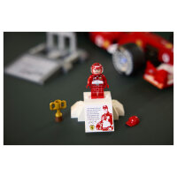 11375 Icons Ferrari F2004 und Michael Schumacher