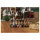 LEGO 76457 Harry Potter Dorf Hogsmeade - Sammleredition