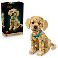 11384 Icons Golden Retriever Welpe