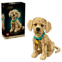 11384 Icons Golden Retriever Welpe