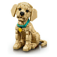11384 Icons Golden Retriever Welpe