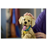 11384 Icons Golden Retriever Welpe